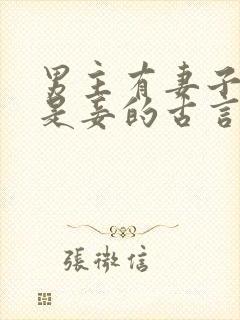 男主有妻子女主是妾的古言