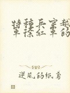 特种兵穿越八路军徐红军的小说