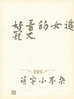 好看的女追男甜宠文