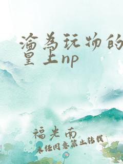 沦为玩物的双性皇上np
