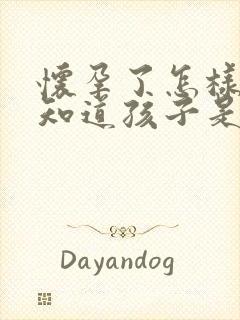 怀孕了怎样才能知道孩子是不是老公的