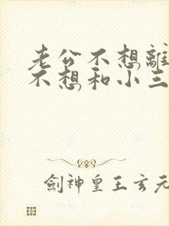 老公不想离婚也不想和小三断