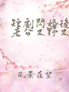 短剧闪婚后财阀老公又野又欲