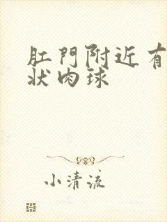 肛门附近有颗粒状肉球