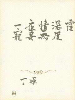 一夜情深霍先生宠妻无度