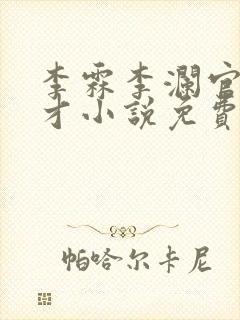 李霖李澜官场奇才小说免费阅读