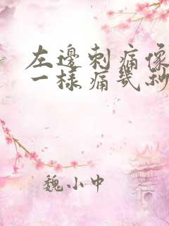 左边刺痛像针扎一样痛几秒