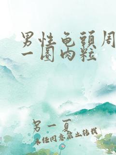 男性龟头周围有一圈肉粒