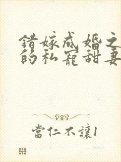 错嫁成婚之总裁的私宠甜妻阅读小说