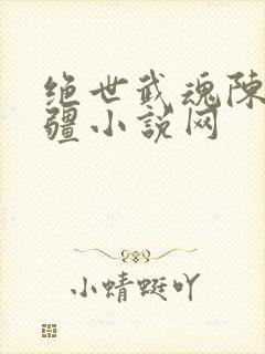 绝世武魂陈枫苗疆小说网