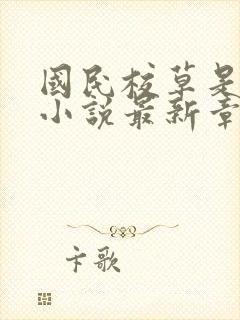 国民校草是女生小说最新章节