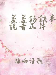 羞羞的铁拳免费观看正片