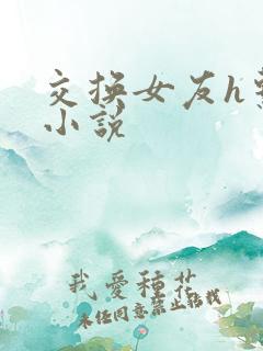交换女友h系列小说