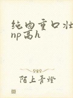 纯肉重口壮汉受np高h