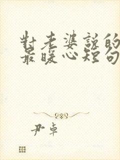 对老婆说的情话最暖心短句