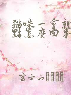 猫咪一会就尿一点怎么回事