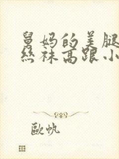 舅妈的美腿玉足丝袜高跟小说