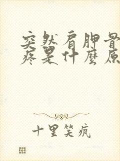 突然肩胛骨后背疼是什么原因引起的