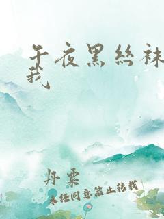 午夜黑丝袜勾引我