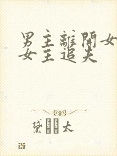 男主离开女主,女主追夫