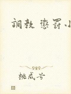 调教 惩罚小说