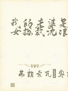 我的老婆是冰山女总裁沈浪