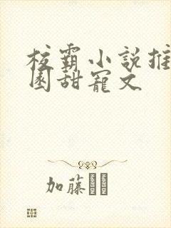 校霸小说推荐校园甜宠文