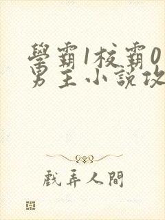 学霸1校霸0双男主小说攻文