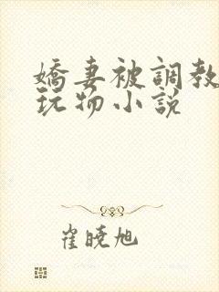 娇妻被调教沦为玩物小说