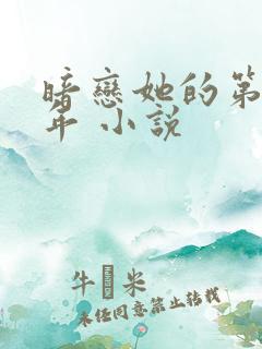 暗恋她的第十一年 小说