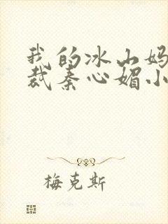 我的冰山妈妈总裁秦心媚小说