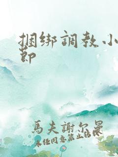 捆绑调教小说章节