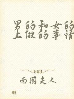 男的和女的在床上做的事情