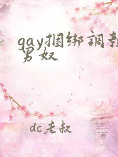 gay捆绑调教男奴