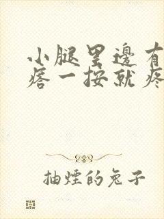 小腿里边有硬疙瘩一按就疼