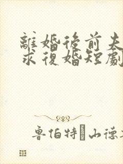 离婚后前夫哭着求复婚短剧