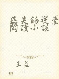 匹夫的逆袭免费阅读小说