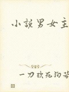 小说男女主飙车