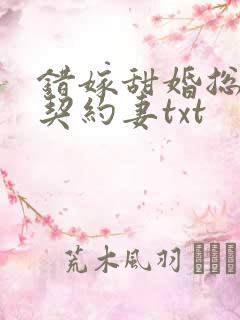 错嫁甜婚总裁的契约妻txt