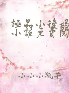 极品小后妈言情小说免费阅读