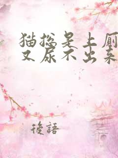 猫总是上厕所却又尿不出来