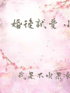 婚后试爱 小说