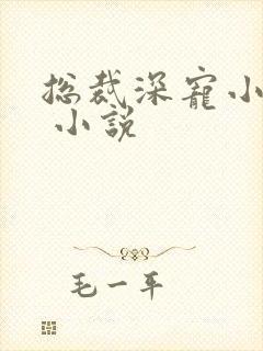 总裁深宠小甜妻 小说