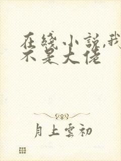在线小说,我真不是大佬