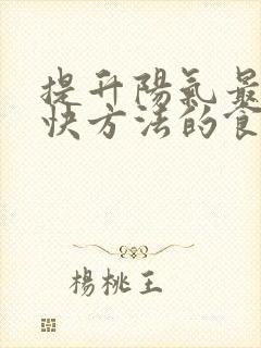 提升阳气最好最快方法的食物