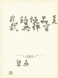 我的极品美女总裁 无弹窗