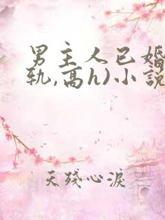 男主人已婚(出轨,高h)小说