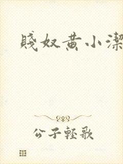 贱奴黄小洁小说