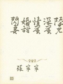 闪婚情深陆总宠妻甜蜜蜜免费阅读