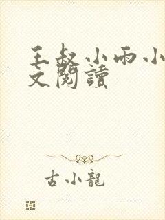 王叔小雨小说全文阅读